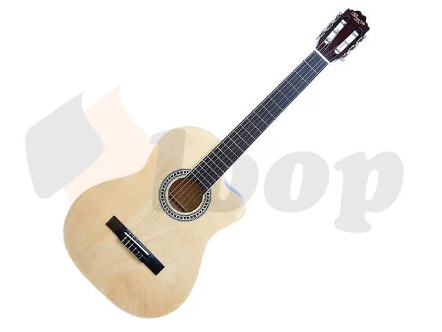 Ivan'S guitar CG-10CE NT